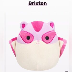 NWT Squishmallows Brixton the Pink Sugar Glider 5”